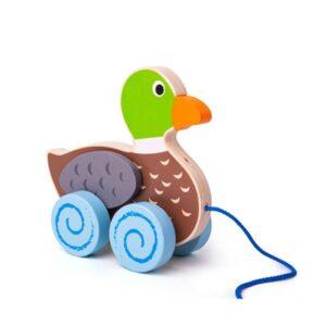 17224 10 Best Pull Along Toys Available on Sandhai