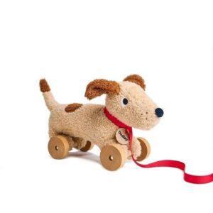 Pull Along Dog