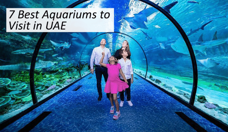 Best-Aquariums-to-Visit-in-UAE