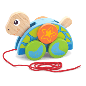 9492 10 Best Pull Along Toys Available on Sandhai
