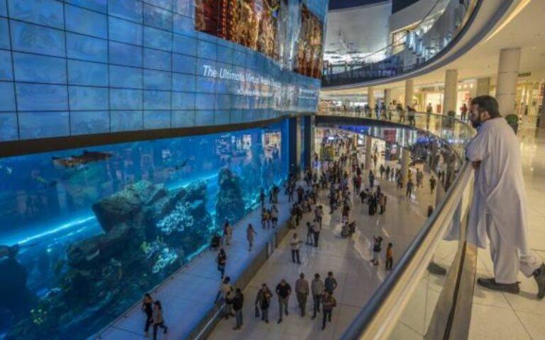 Underwater zoo