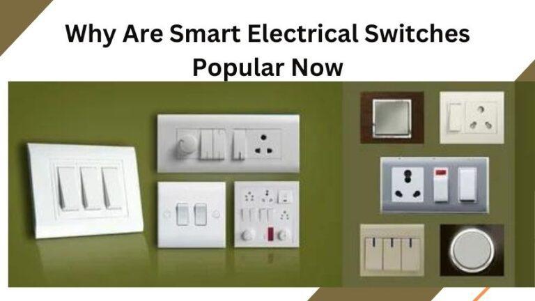 Why Are Smart Electrical Switches Popular Now