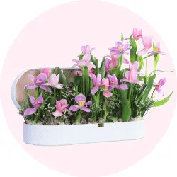 flower shop