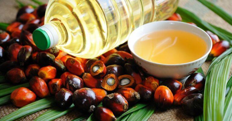 Mexico Palm Oil Market