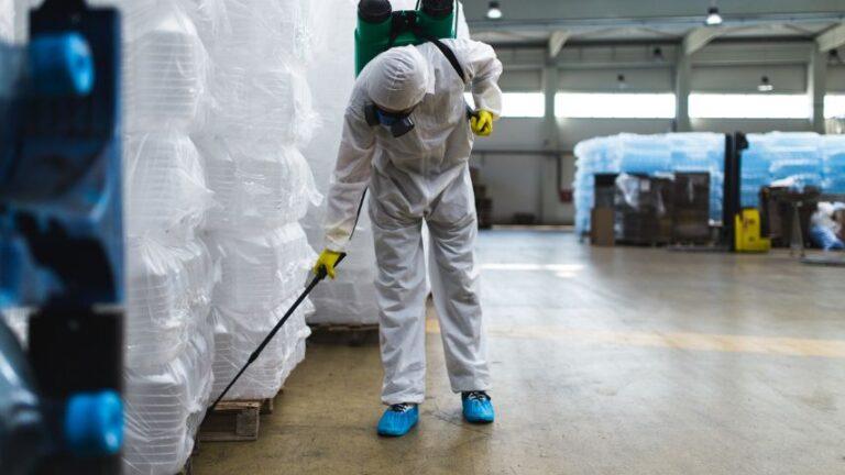 Pest Exterminator Near Me and Fumigation control