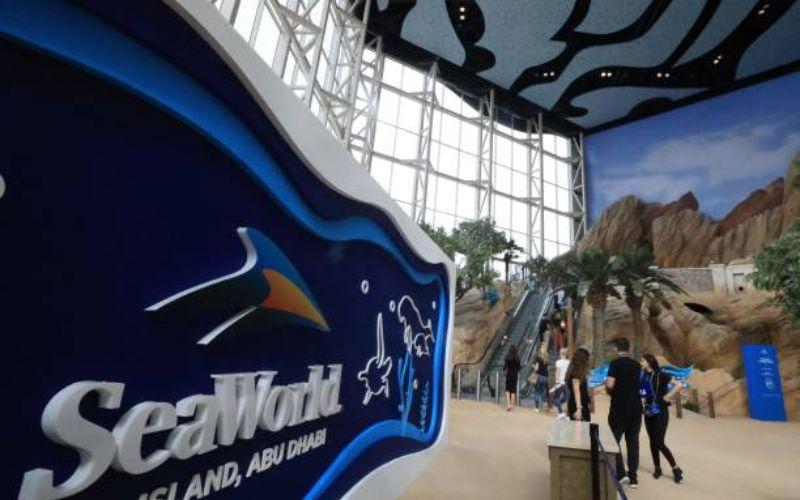 Whale Shark Encounter Experiences at SeaWorld Abu Dhabi