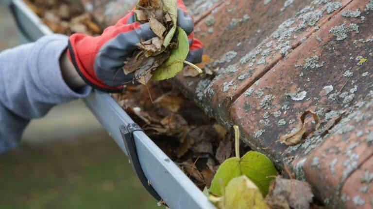 Gutter Cleaning Service in Bro