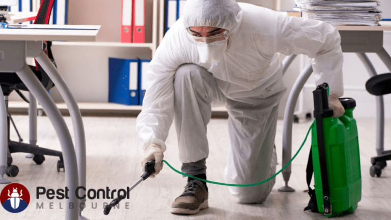 Tips to find the Best Pest Control Company