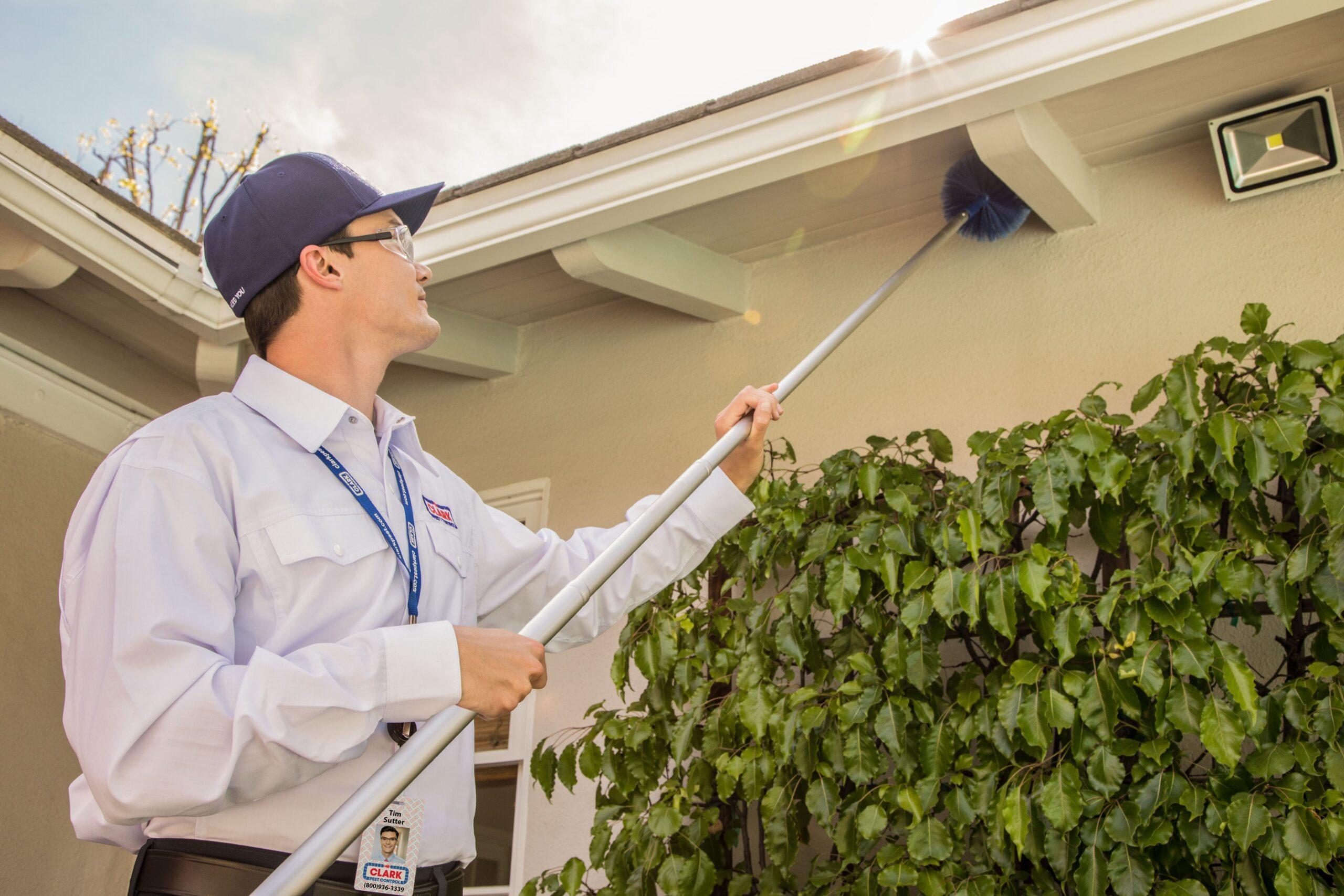 pest control in lahore Pest Control in Lahore and Pest Control Services