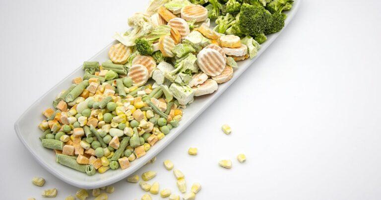 Machinery Requirements for Setting Up a Freeze-Dried Vegetable snacks Manufacturing Plant