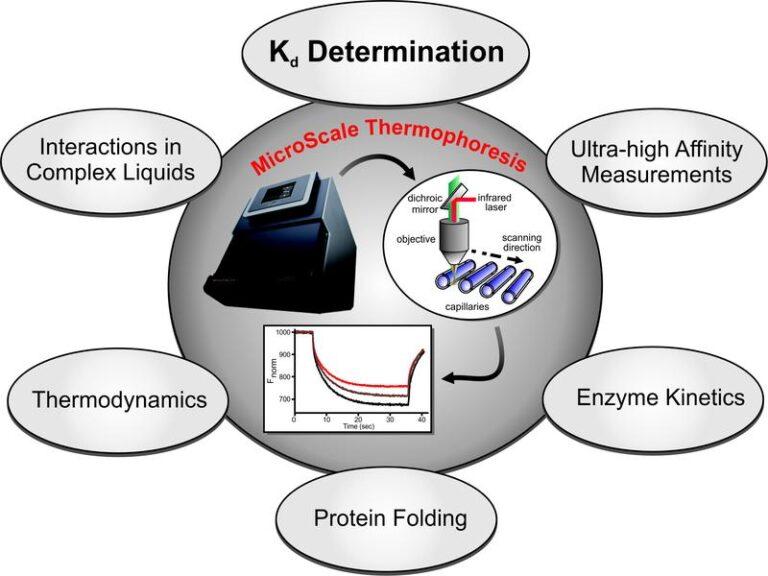 Microscale Thermophoresis Technology Overview