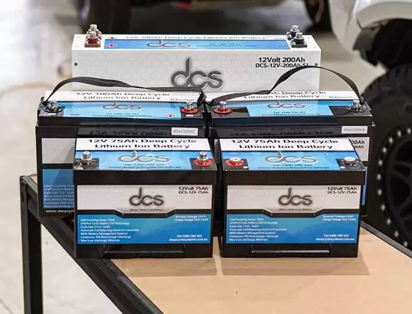  flooded deep cycle battery