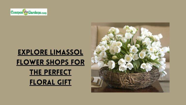 flower shops limassol