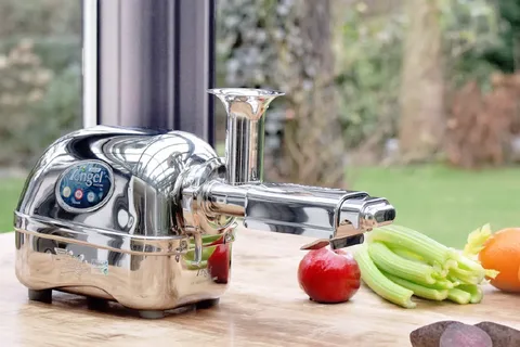12 Commercial Uses for the Super Angel Juicer 8500                                  
