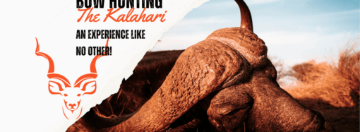 Bowhunting in the Kalahari: An Adventure Like No Other