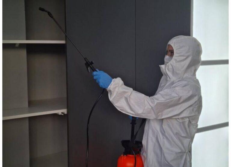 Cockroach Exterminator In Toronto