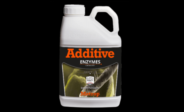 Exploring the Importance of Enzymes for Plants in Cultivation