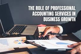 Professional Accounting Services Ensuring Compliance and Financial Growth