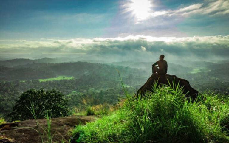 Things to Do in Kerala