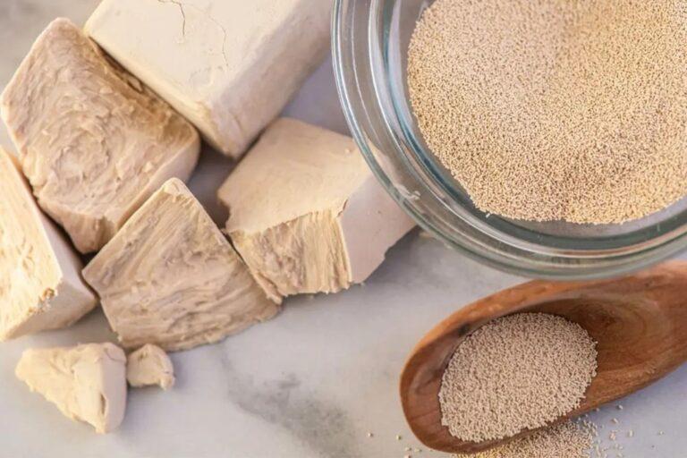 Yeast From Molasses Manufacturing Plant Setup and Cost | Detailed Project Report By IMARC Group