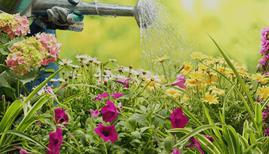 image 34 Lawn Mowing Eastlakes: Your Trusted Gardening Services Partner