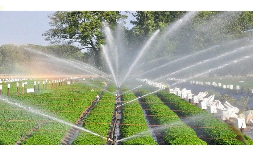 A Complete Guide to Installing and Maintaining Sprinkler Irrigation A Complete Guide to Installing and Maintaining Sprinkler Irrigation