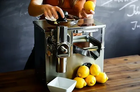 From Farm to Glass: Mastering the Art of Juice Press Machine