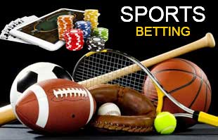 Sports Betting Diversity in 2025: From Football to Niche Markets