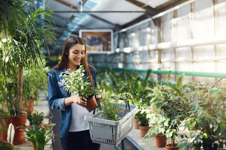 In a greenhouse, a woman holds a basket of plants, showcasing the joy of nurturing nature and creating balance at home.