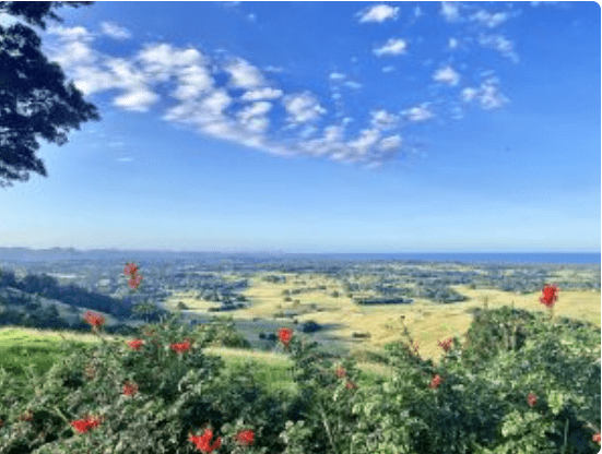 byron shire Safeguard Your Property Investment with Building and Pest Inspections in Northern Rivers – Powered by BPI