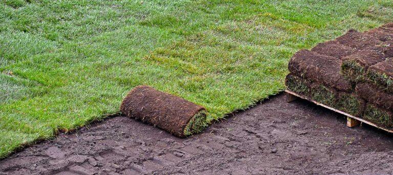 Sod Installation Homewood