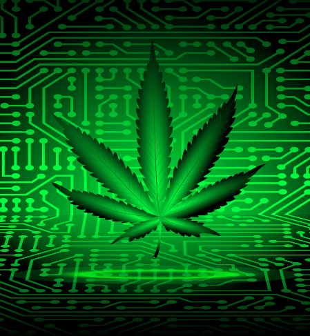 Employee Compliance Training in Missouri’s Cannabis Industry