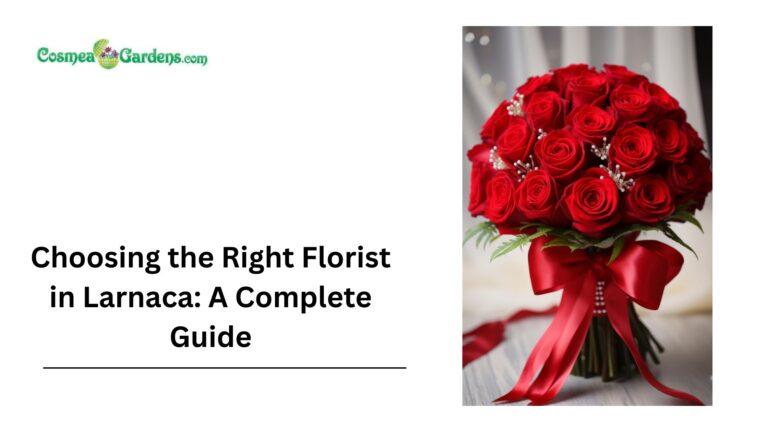Choosing the Right Florist in Larnaca: A Complete Guide