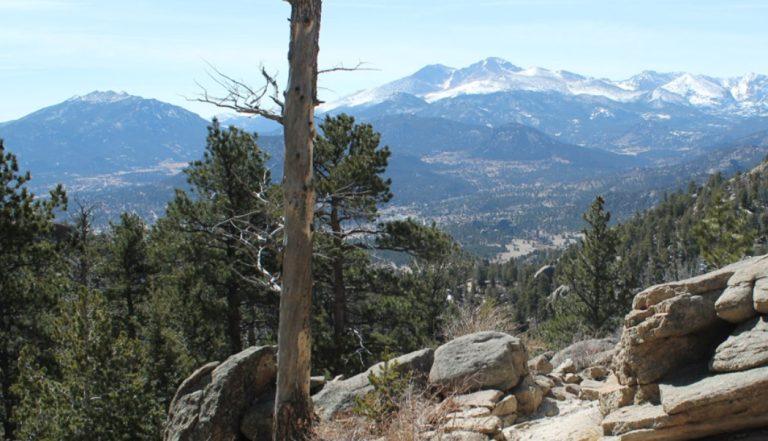 Estes Park hotel rooms