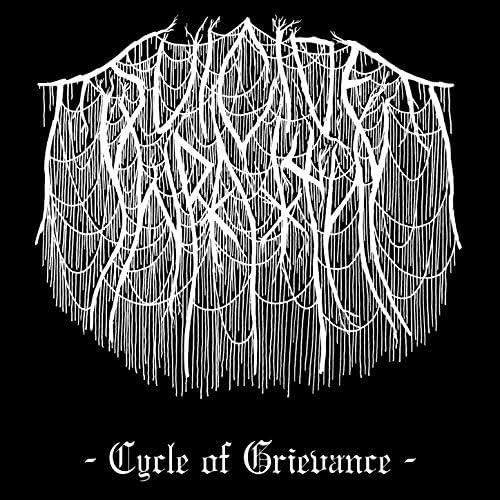 buy A Cycle of Grievances