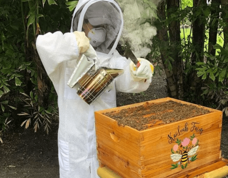 honey wholesale